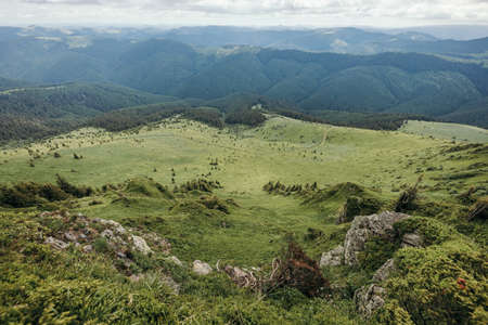 A herd of sheep standing on top of a mountainの写真素材