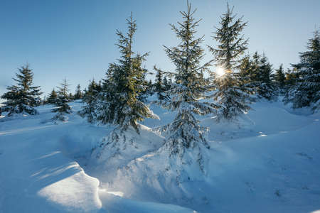 A man cross country skiing on a snow covered slopeの写真素材