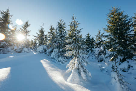 A man cross country skiing in the snowの写真素材