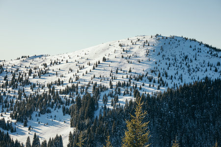 A group of people standing on top of a snow covered slopeの写真素材
