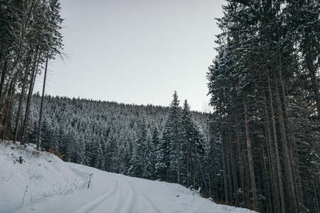 A man riding skis down a snow covered slopeの写真素材