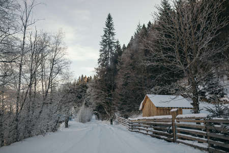 A close up of a wood fence covered in snowの写真素材