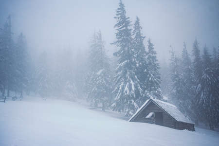 A person riding a snowboard down a snow covered slopeの写真素材