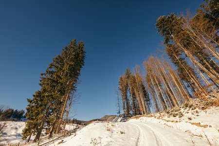 A man riding on top of a snow covered slopeの写真素材