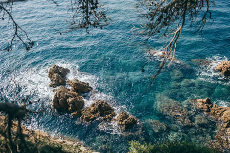 A flock of seagulls standing next to a body of waterの写真素材