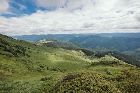 A field with a mountain in the backgroundの写真素材