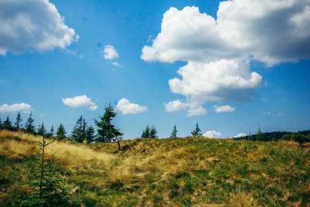 A grassy field with clouds in the skyの写真素材