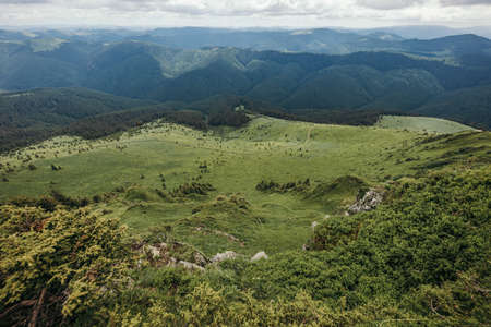 A herd of sheep standing on top of a mountainの写真素材