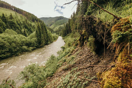 A path with trees on the side of a mountainの写真素材