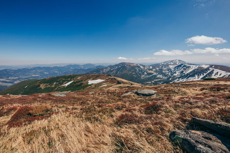 A field with a mountain in the backgroundの写真素材