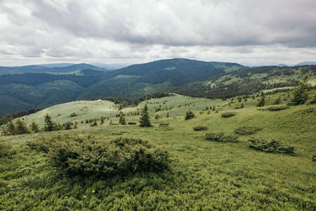 A herd of sheep grazing in a field with a mountain in the backgroundの写真素材