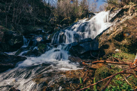 A waterfall in a forestの写真素材