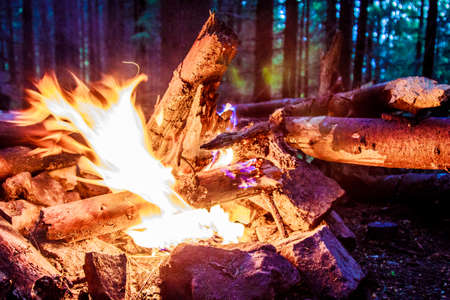 A close up of a fire placeの写真素材