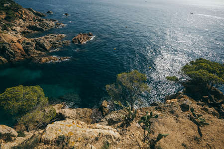 A close up of a hillside next to a body of waterの写真素材