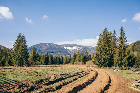 A train traveling down a dirt roadの写真素材
