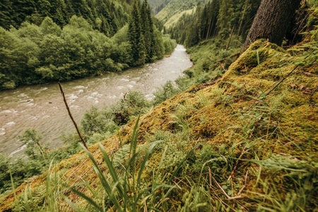 A close up of a hillside next to a waterfallの写真素材