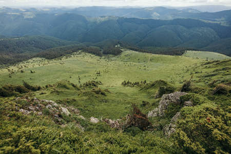 A herd of sheep grazing on a rocky hillの写真素材