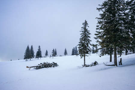 A snow covered slope a travel