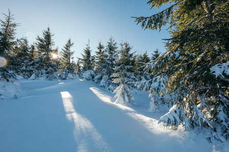 A group of people cross country skiing in the snowの写真素材