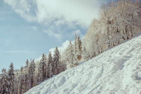 A man riding skis down a snow covered slopeの写真素材