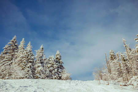 A man jumping in the air on a snow covered slopeの写真素材