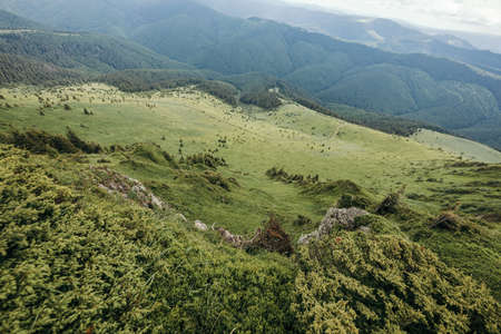 A herd of sheep standing on top of a mountainの写真素材