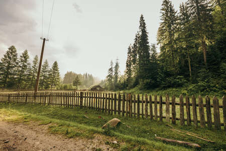 A herd of sheep standing on top of a wooden fenceの写真素材