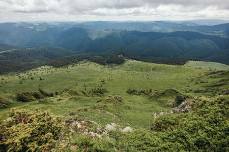 A herd of sheep standing on top of a mountainの写真素材