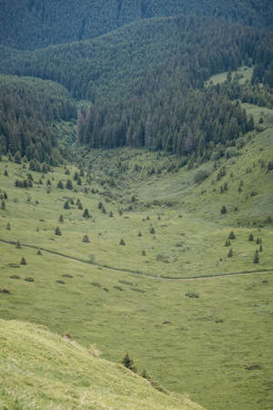 A herd of sheep standing on top of a mountainの写真素材