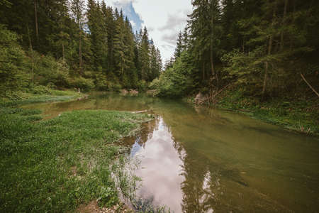 A train traveling down train tracks near a forestの写真素材