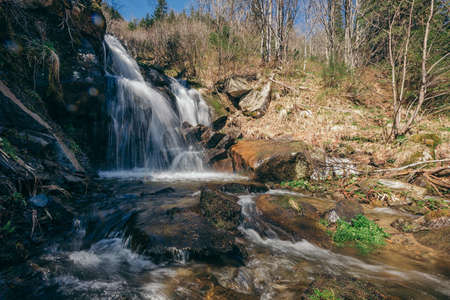 A waterfall in a forestの写真素材