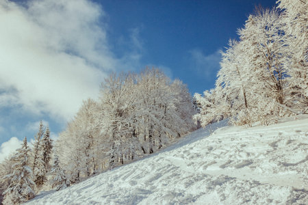 A man riding skis down a snow covered slopeの写真素材