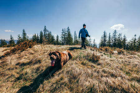 A man riding a horse in a fieldの写真素材