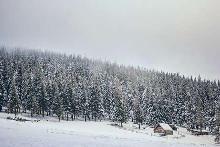 A man standing on top of a snow covered slopeの写真素材