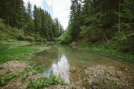 A waterfall in a forestの写真素材