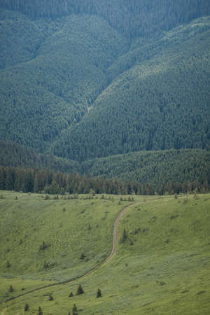 A close up of a hillside next to a mountainの写真素材