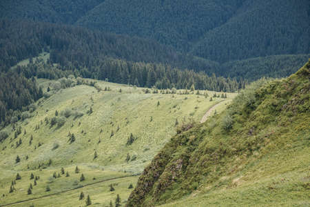 A close up of a hillside next to a mountainの写真素材