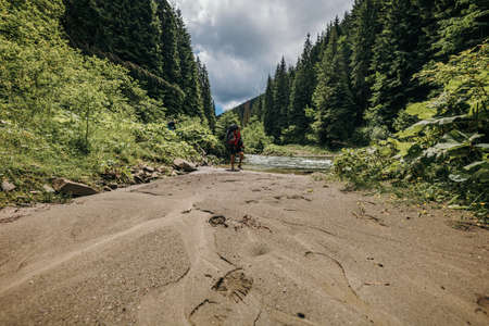 A path with trees on the side of a dirt roadの写真素材