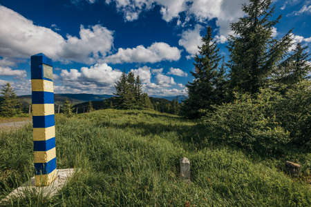 A large green field with trees in the backgroundの写真素材