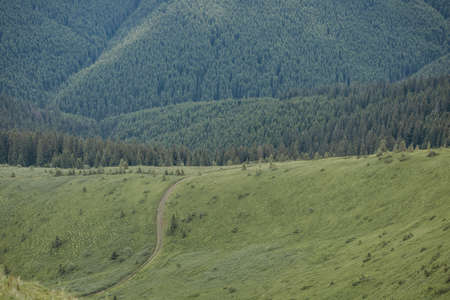 A train is on the side of a mountainの写真素材