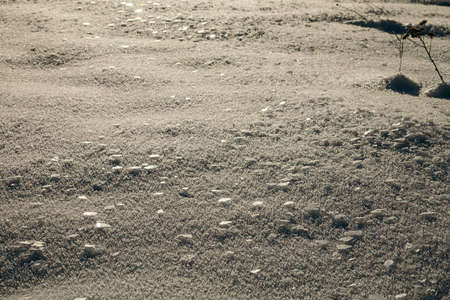 A person standing on a dry grass fieldの写真素材