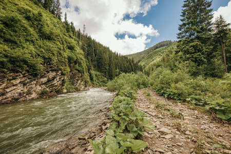 A path with trees on the side of a mountainの写真素材