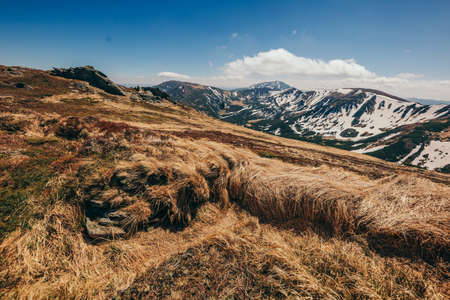 A herd of sheep standing on top of a mountainの写真素材