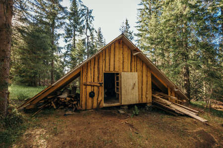 An old barn in a forestの写真素材