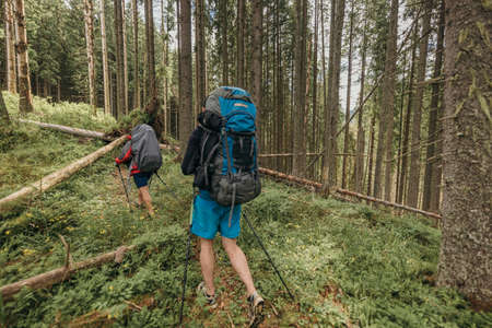 A group of people in a forestの写真素材