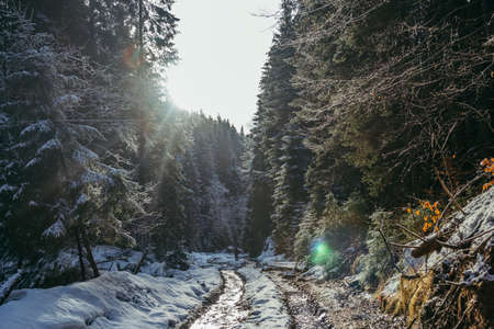A waterfall with trees on the side of a snow covered slopeの写真素材