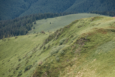 A herd of sheep standing on top of a mountainの写真素材
