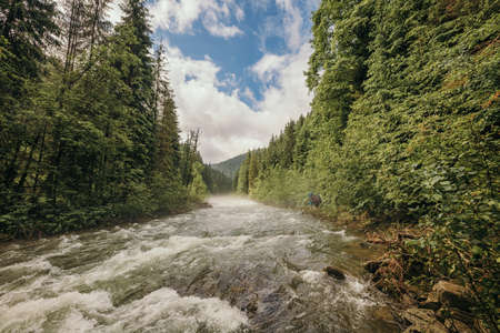 A waterfall in a forestの写真素材