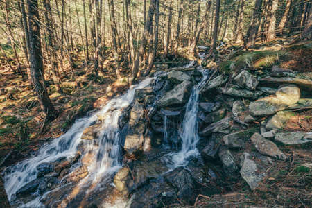 A waterfall in a forestの写真素材