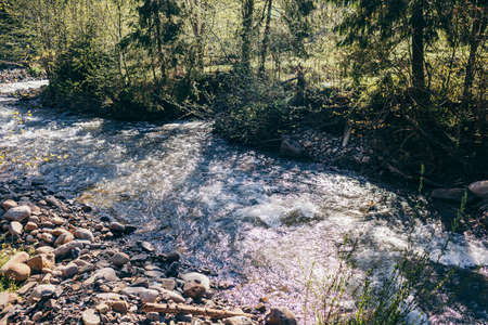 A river running through a forestの写真素材